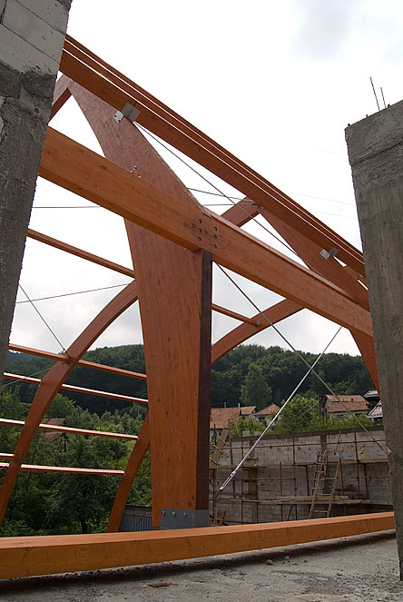 Кровни носачи, јул 2010.